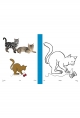 Les animaux domestiques