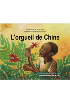 L'orgueil de Chine